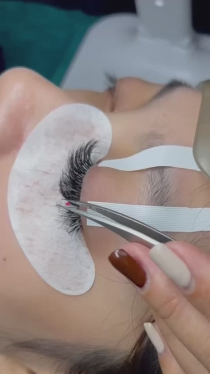 Pack of 5 - 8D Volume - 500 Fans Promade Volume Fans For Professional Eyelash Extension - Pinneacle Lash