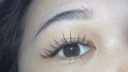 Wispy 500 Fans | 7D volume | C curl | 18mm (spike 20mm)