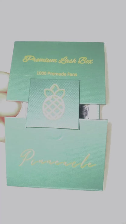 1000 Fans - 3 sizes in 1 box - 0.07 - 6D volume - D curl (13-14-15mm)